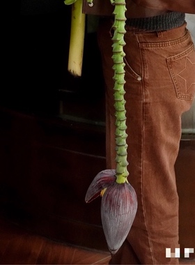 摆放芭蕉花艺现代异域餐厅造景