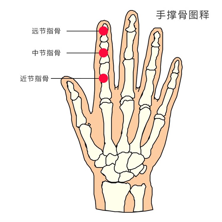 手指压直器手指关节弯曲矫正器手指不直固定矫正器手指伸直康复器_虎窝淘