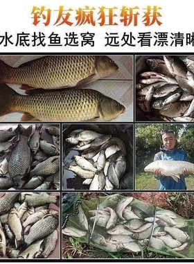 射鱼眼镜 专业 弹弓打鱼看水底专用偏光镜钓鱼看漂户外路亚太阳镜