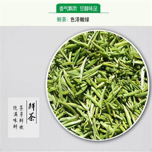 2024襄阳高香茶玉皇剑有机茶剑王芽茶高端茶礼400g(200g*2罐） - 图2