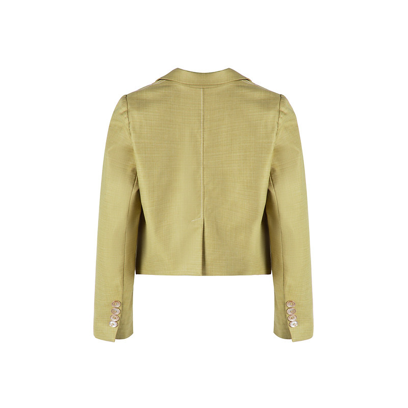 velwin蔚雯春秋季新款v领黄色短款外套女通勤显瘦一粒扣气质上衣,淘宝优惠券,粉丝福利购,淘宝优惠卷