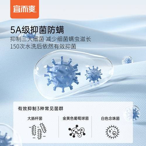 【3条】宜而爽罗纹100%纯棉内裤男高腰四角裤中老年爸爸平角裤头-图3