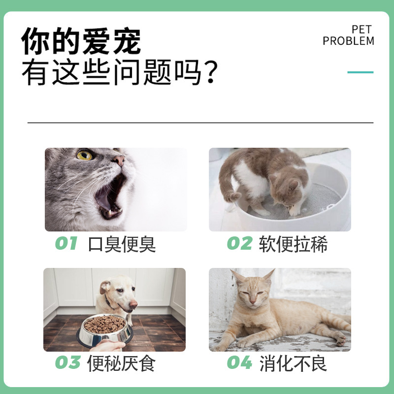 倍内菲宠物益生菌调理肠胃腹泻拉稀便秘猫狗泰迪金毛博美内服 - 图2