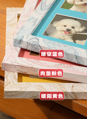 7寸10寸马卡龙宠物爪印纪念相框免洗印泥diy猫咪狗足印摆台装裱框