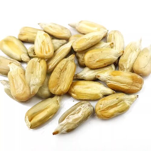 金鸽瓜子260克*5袋大颗粒多味葵瓜子葵花籽零食坚果炒货休闲零食 - 图0