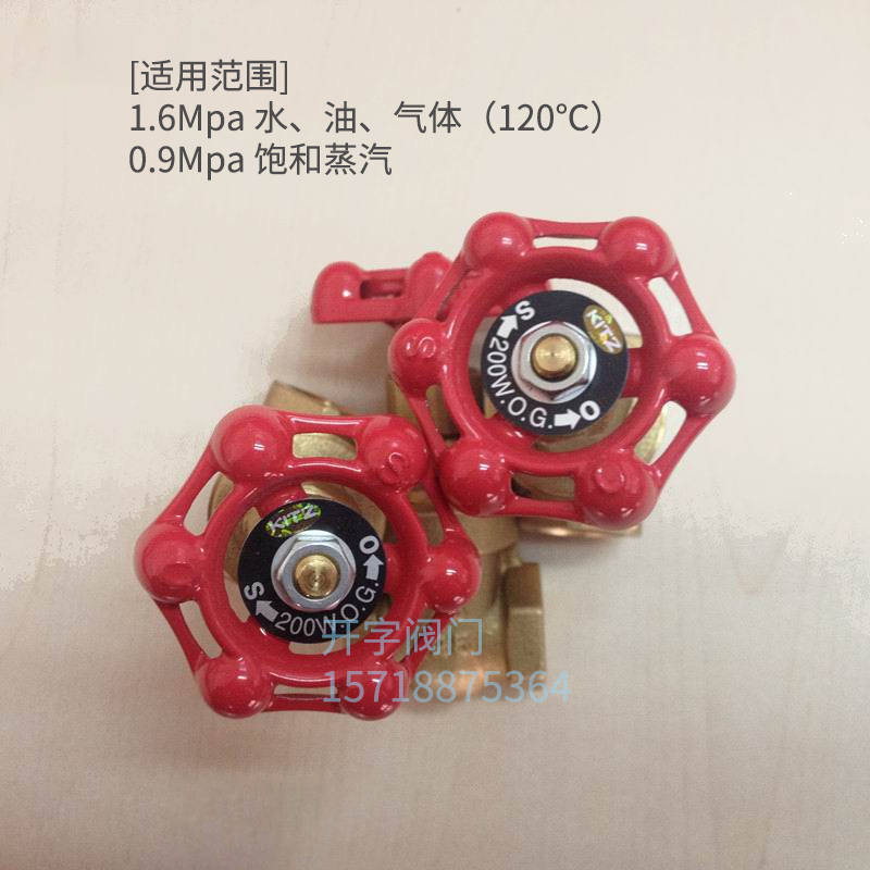 FH进口日本北泽KITZ黄铜丝扣闸阀暗杆式水油气4分125型PT螺纹阀 - 图1