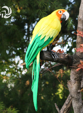 新品小鹦鹉羽毛金刚假鸟巴哥摆件