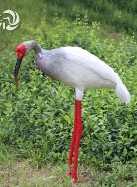 仿真标本户外道具园林景观新品