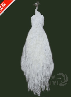 优质孔雀标本开屏蓝白宾馆酒店