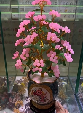 《金枝玉叶》摇钱树！粉玉果硕果累累！花开富贵！