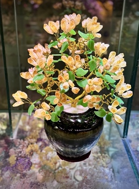 天然原矿黄水晶摇钱树发财树摆件！水晶满满，能量满满！助招财