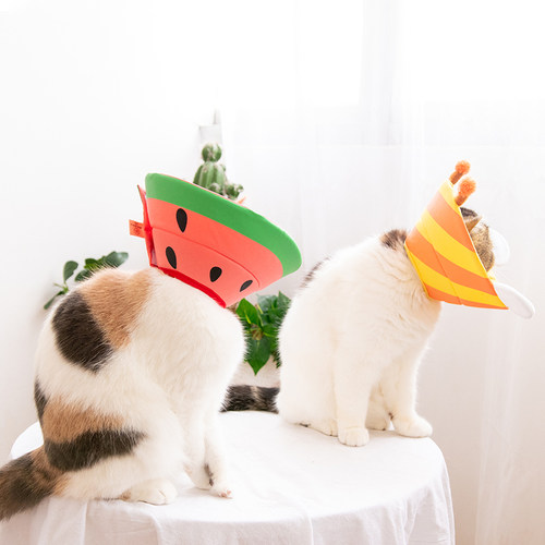 伊丽莎白圈宠物猫柔软项圈方便防咬抓防舔耻辱手术舔伤口绝育头套 - 图0