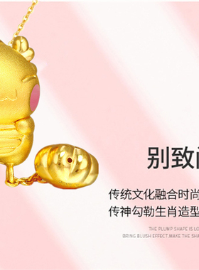 龙年福吊坠金项链本命生肖龙新款