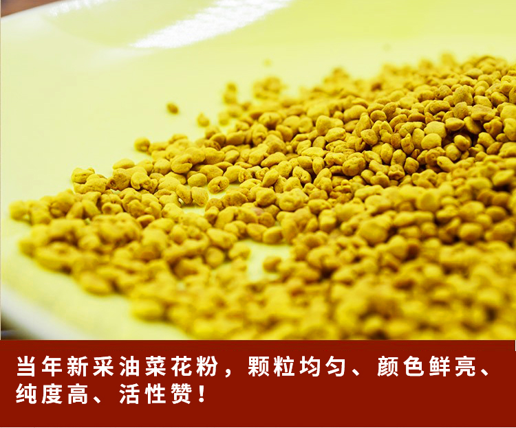 2023新鲜青海油菜花粉纯正天然正品未破壁食用蜂花粉前列腺500克