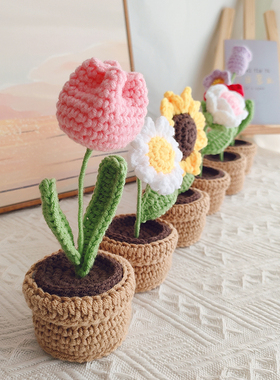 DIY手工编织小花盆栽毛线钩织