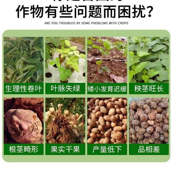 【8.9元10袋】地下根茎膨大素土豆山药红薯膨大剂生根壮苗叶面肥 - 图1