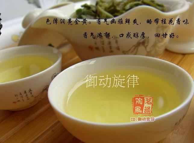 黄金桂浓香型 安溪乌龙茶  茗韵陶风醇香桂花香原生态高山茶特级