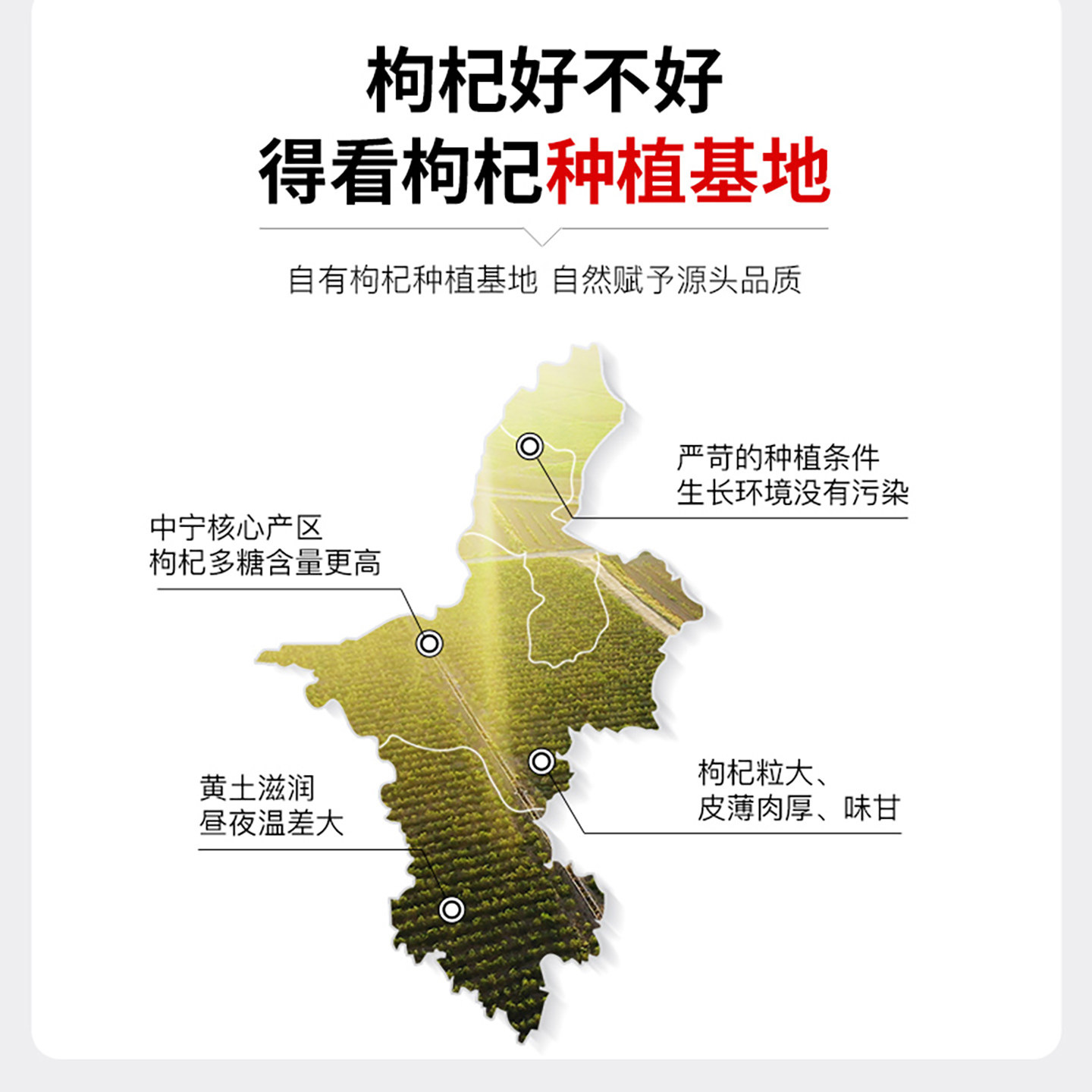 宁夏红杞都枸杞子无硫熏染枸杞干特级正宗中宁枸杞官方旗舰店250g