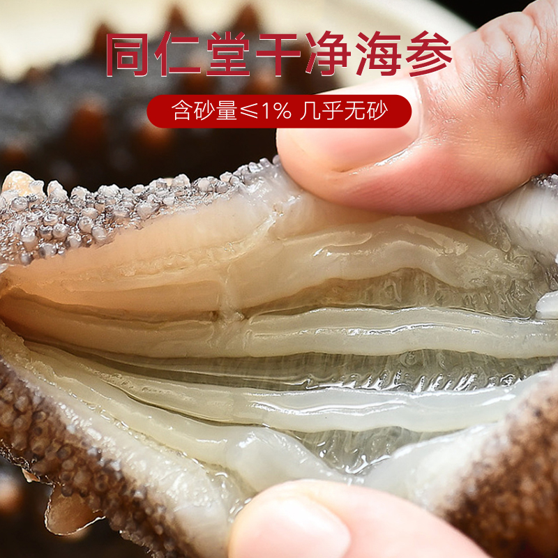 北京同仁堂大连海参即食500g/袋 辽宁刺参水产送礼官方旗舰店正品 - 图2