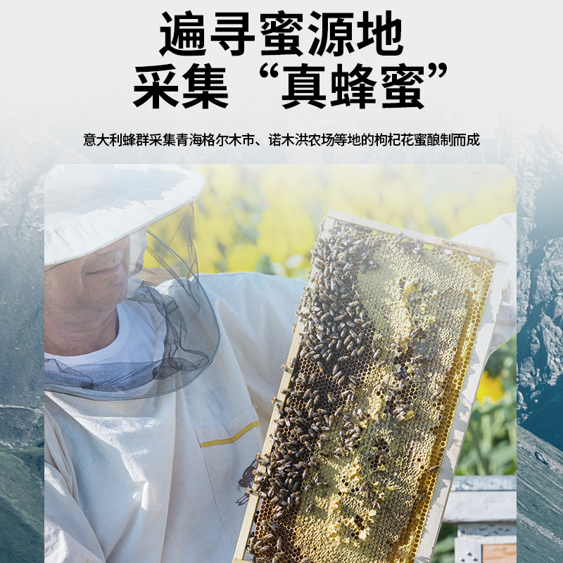 北京同仁堂 枸杞蜂蜜800g瓶装枸杞子蜂蜜 正品优选枸杞蜜官方旗舰