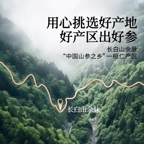 【正宗同仁堂品牌】北京同仁堂人参片礼盒长白山送父母长辈旗舰店 - 图1