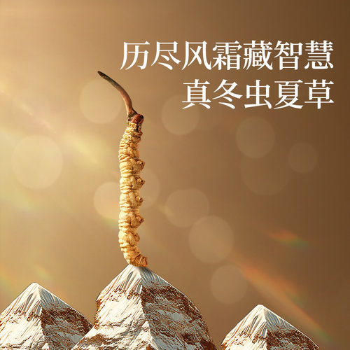 正宗同仁堂品牌】北京同仁堂冬虫夏草50/7g西藏野生虫草节日礼盒 - 图3