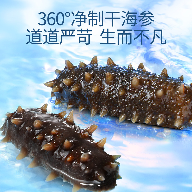 北京同仁堂海参净制干海参100g礼盒 北京同仁堂健康干品/即食海参