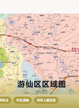 游仙区区域图 现代简约装饰画 办公室挂画 定制地图挂图