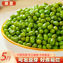 Large grain green beans 5 catty farmhouse large green beans with fresh bean sprouts green bean soup green bean porridge green bean cake raw material