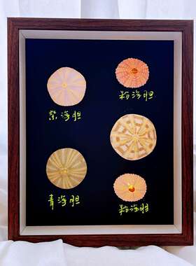 立体中空相框复古小夜灯海胆贝壳标本展示盒手工DIY带灯自装空框