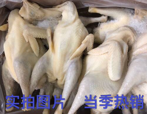 熟盐水鸡老母鸡半成品全熟口水鸡白斩鸡椒麻鸡食材口水鸡厂家直销 - 图1