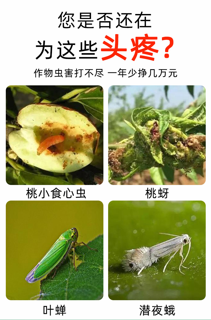 瓜类杀虫剂西瓜甜瓜哈密瓜专用杀虫剂西瓜蚜虫白粉虱蓟马杀虫药-图2