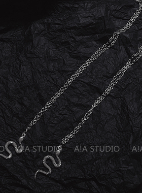 欧美ins蛇形土酷蹦迪配饰项链