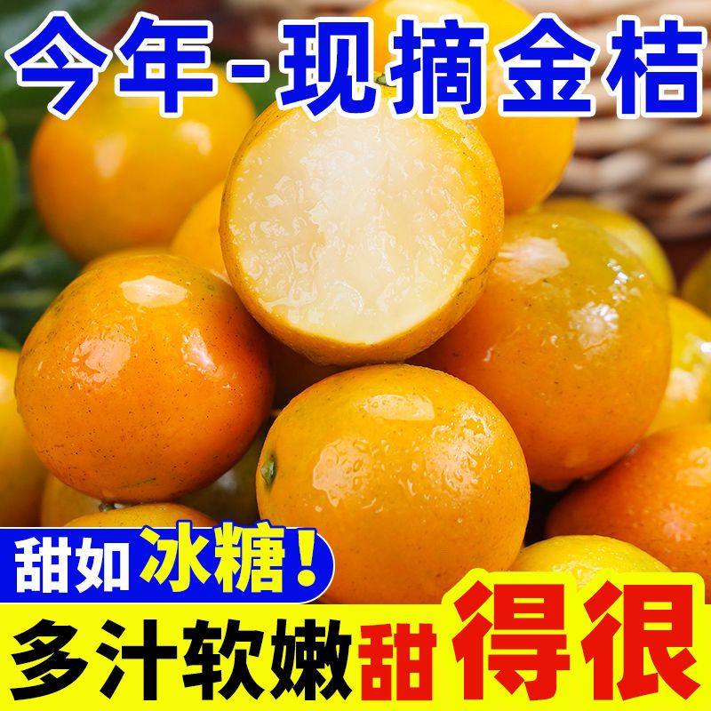 广西融安脆蜜金柑第三代应当季水果金桔鲜果金橘纯甜脆5皮金桔,淘宝优惠券,粉丝福利购,淘宝优惠卷