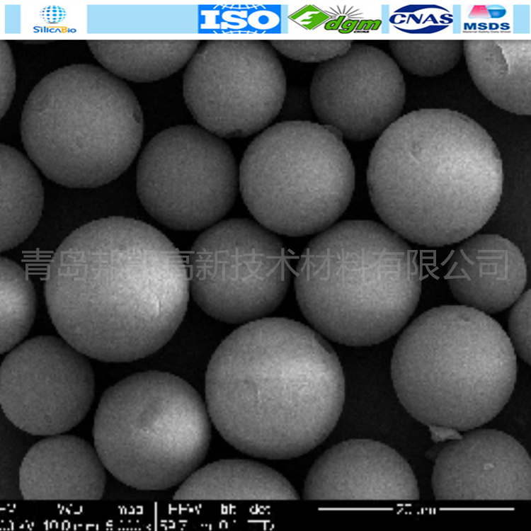 球型腈基 硅胶填料 100A  40-60um  50g - 图1