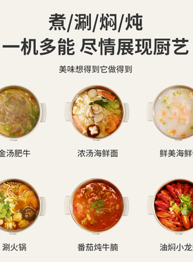 利仁电火锅多功能一体锅