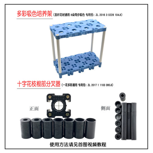 可立彩鲜花染色剂 七夕玫瑰满天星菊花郁金香通用吸色剂 花店染料 - 图1