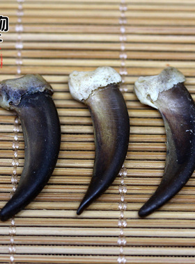 小动物摸金勾吊坠挂件配饰配件