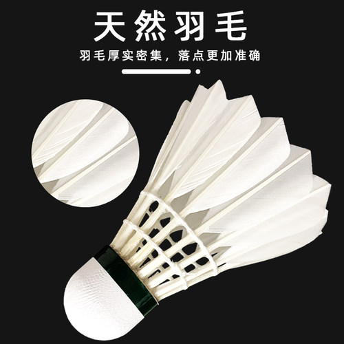 威雷斯羽毛球耐打王12只装打不易烂比赛耐用型专业室内外训练用球 - 图0