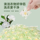 Camellia laundry beads 5-in-1 long-lasting fragrance