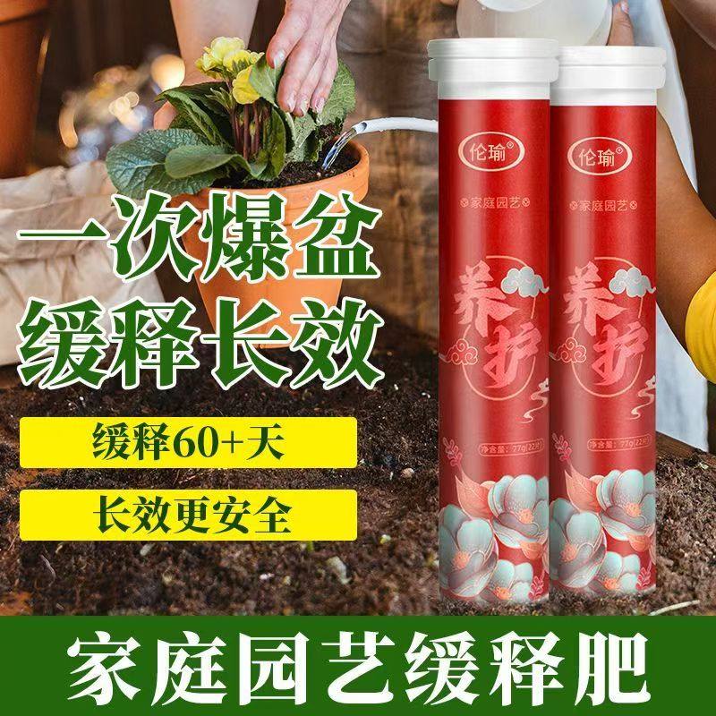 植物营养片通用型缓释片绿植花肥料复合肥花卉缓释肥家用盆栽园艺,淘宝优惠券,粉丝福利购,淘宝优惠卷