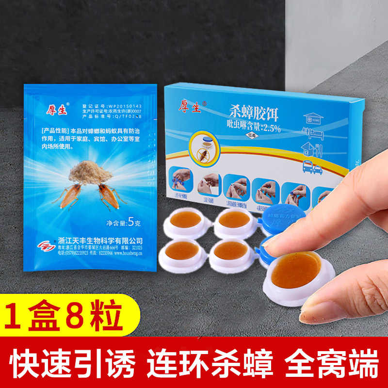 蚂蚁饵 新人首单立减十元 21年10月 淘宝海外