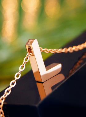 L字母钛钢项链女冷淡系18k巨好看