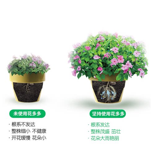 花多多1号2号10号进口花肥料官方旗舰官网多肉一号营养绣球水溶肥 - 图2