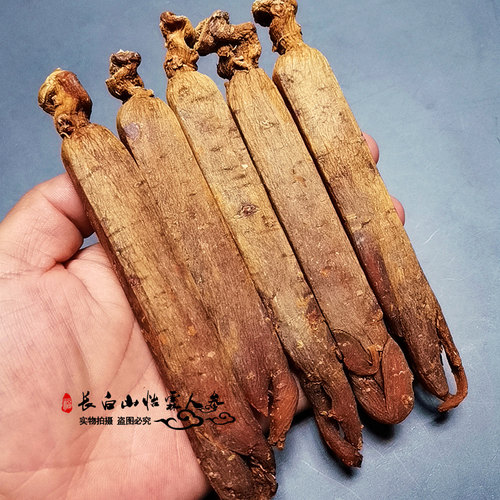 高丽参朝鲜无糖高丽红参整支长白山官方旗舰店韩国正品天字别直参 - 图1