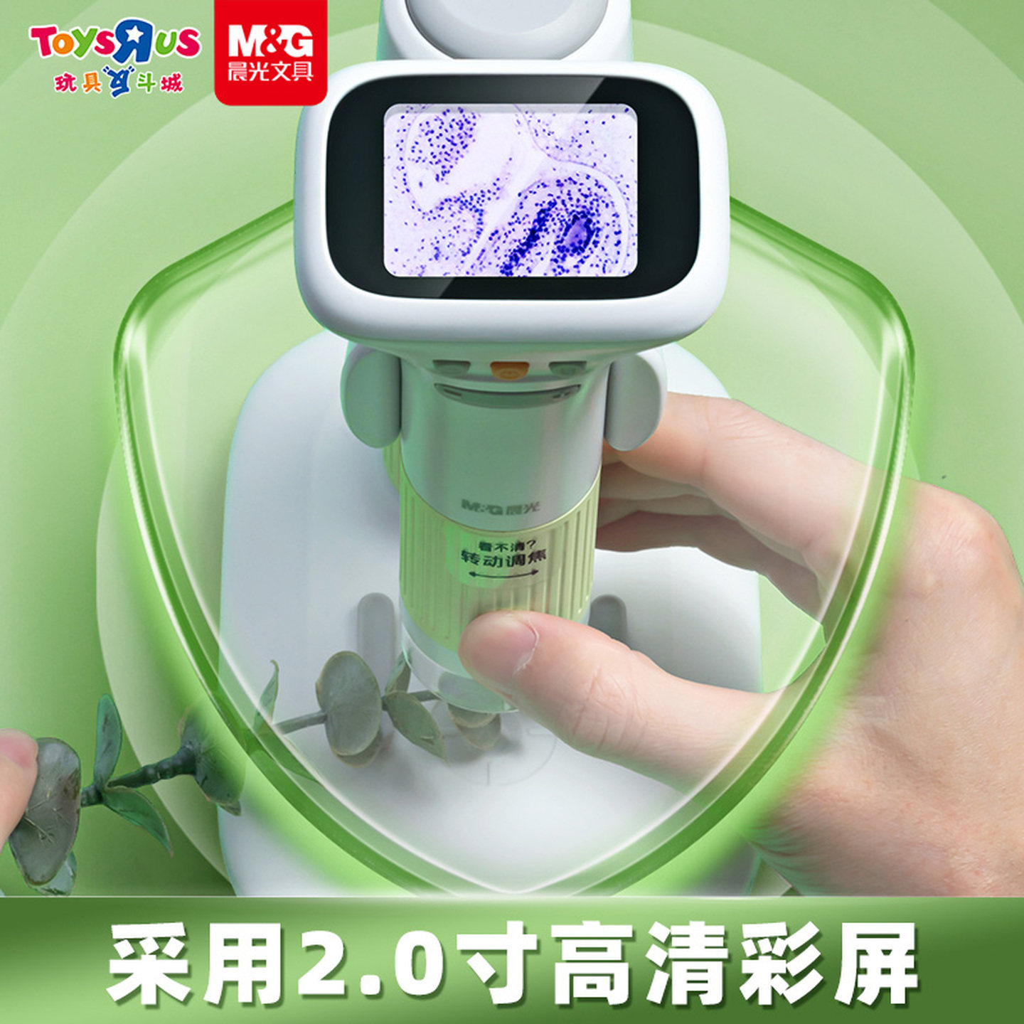 图2
