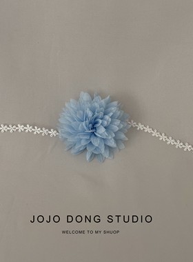 温柔超仙蕾丝淡蓝色花朵项链choker颈链复古法式氛围感项圈锁骨链