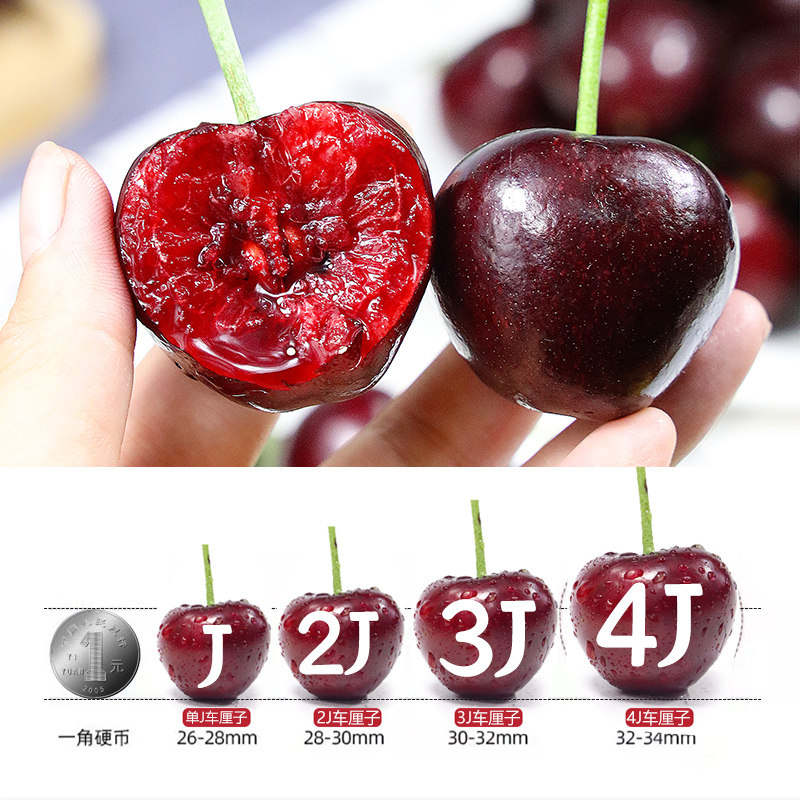 智利车厘子5斤5j新鲜水果包邮当季整箱进口大樱桃4j孕妇高档礼盒,淘宝优惠券,粉丝福利购,淘宝优惠卷