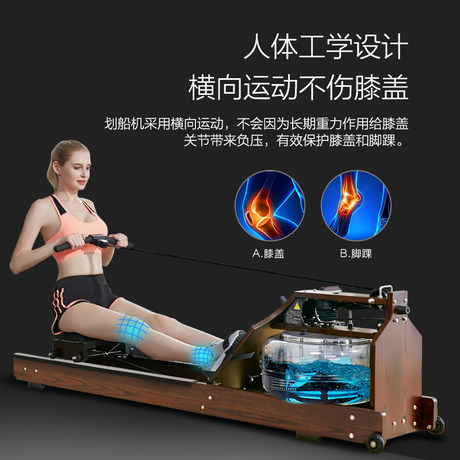 mute rowing machine