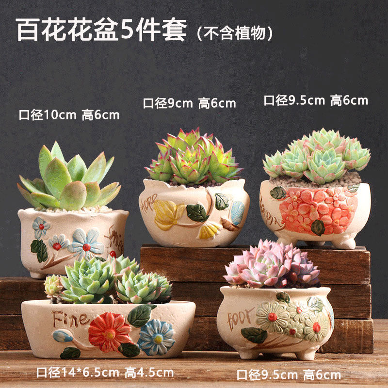 艳阳多肉花盆特价陶土家用阳台素烧粗陶简约陶盆大小号控根陶瓷盆